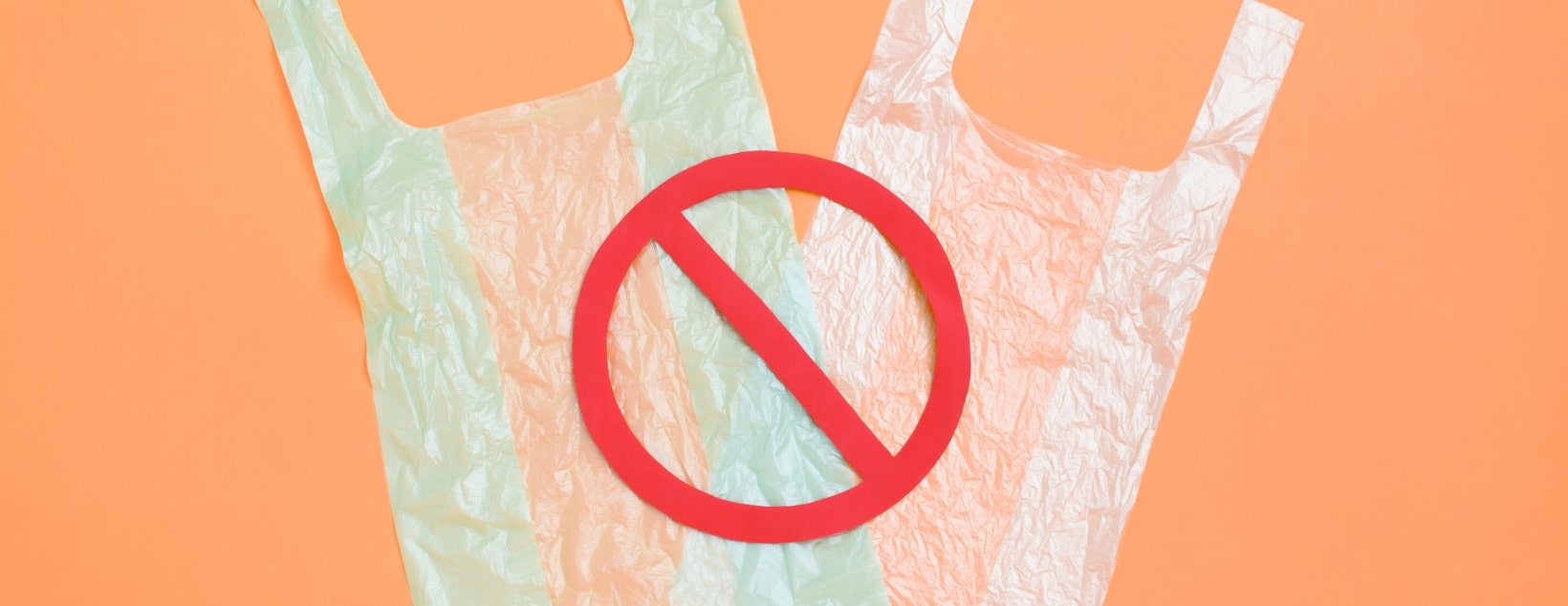 avoid plastic bags